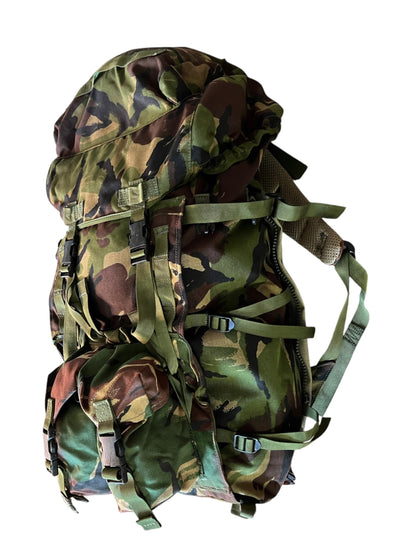 DPM Issued And Modified Para Bergen and side pouches