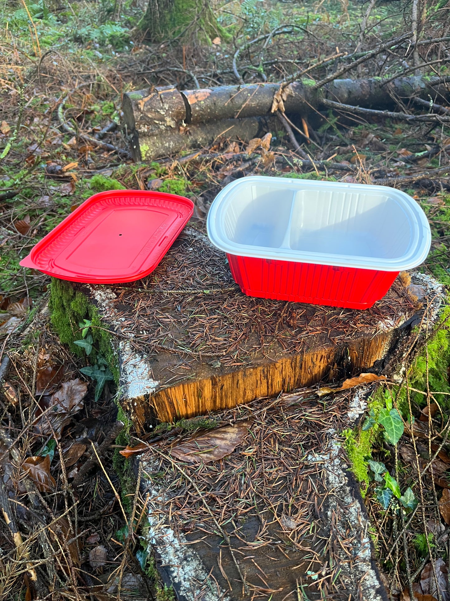 Heat2eat camping stove self steamer and 2x heat stones for camping food Medium