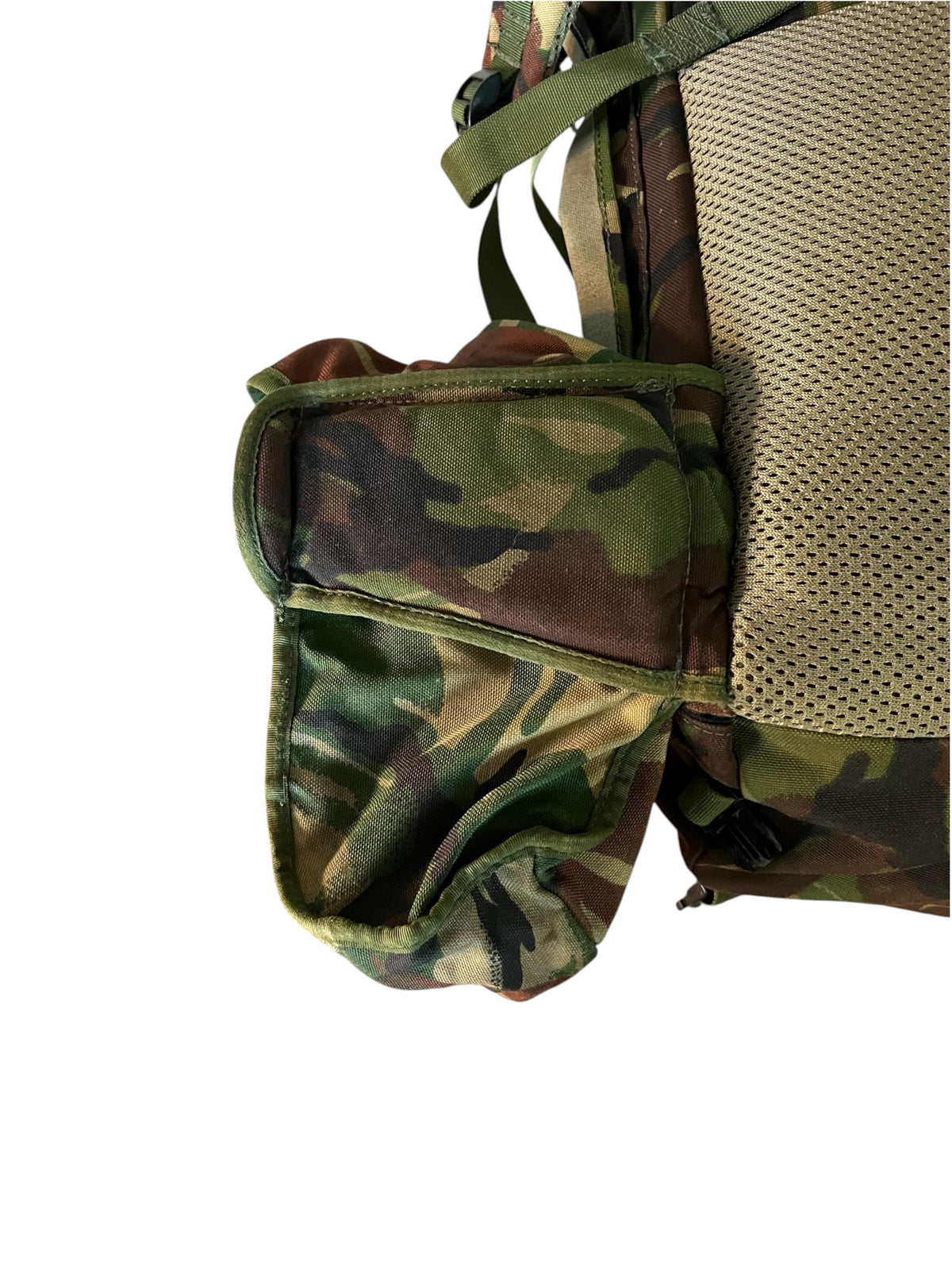DPM Issued And Modified Para Bergen and side pouches