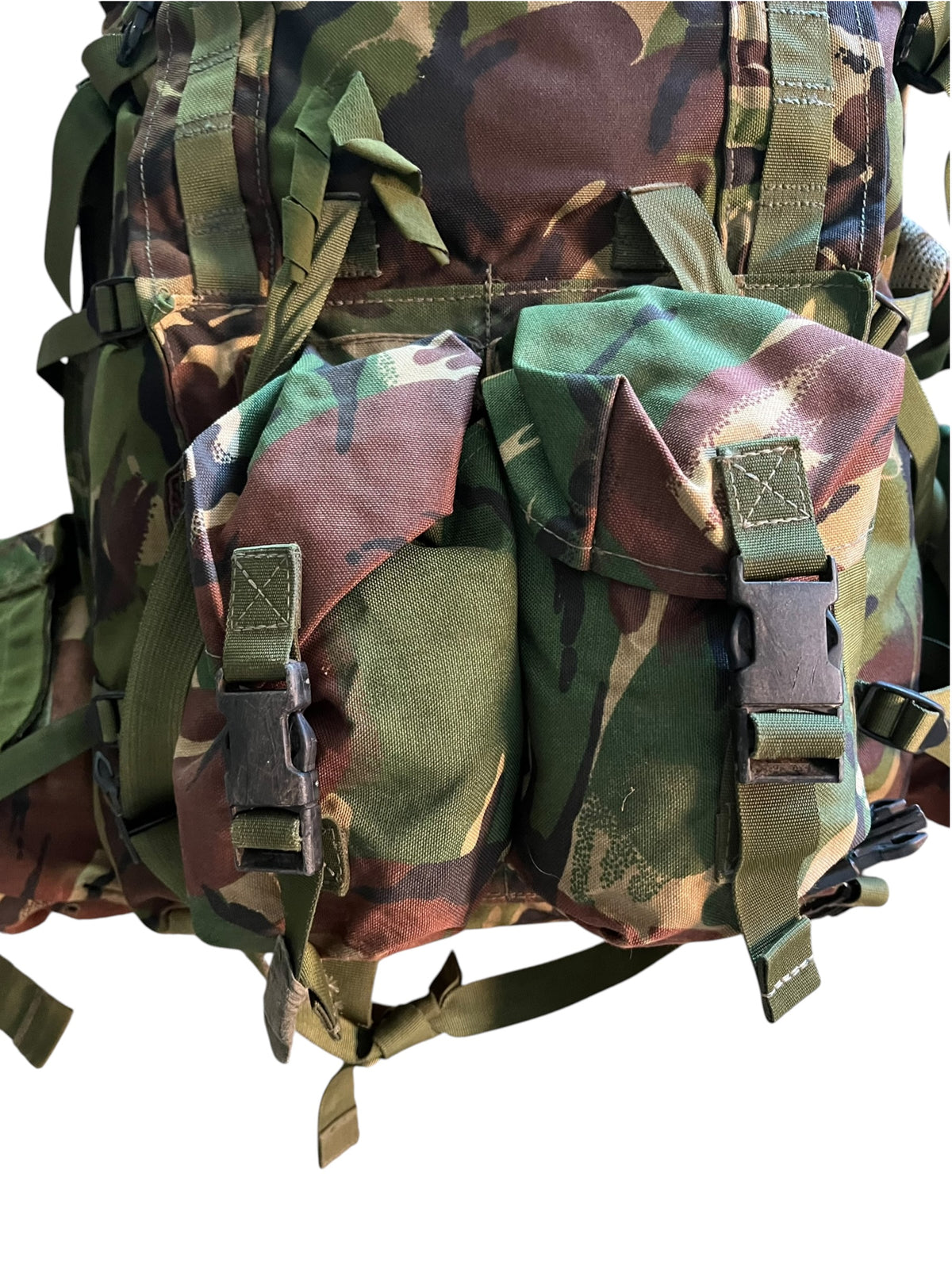 DPM Issued And Modified Para Bergen and side pouches