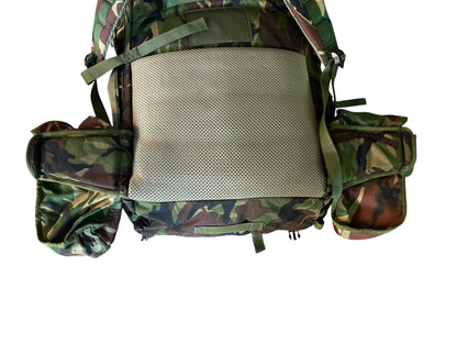 DPM Issued And Modified Para Bergen and side pouches