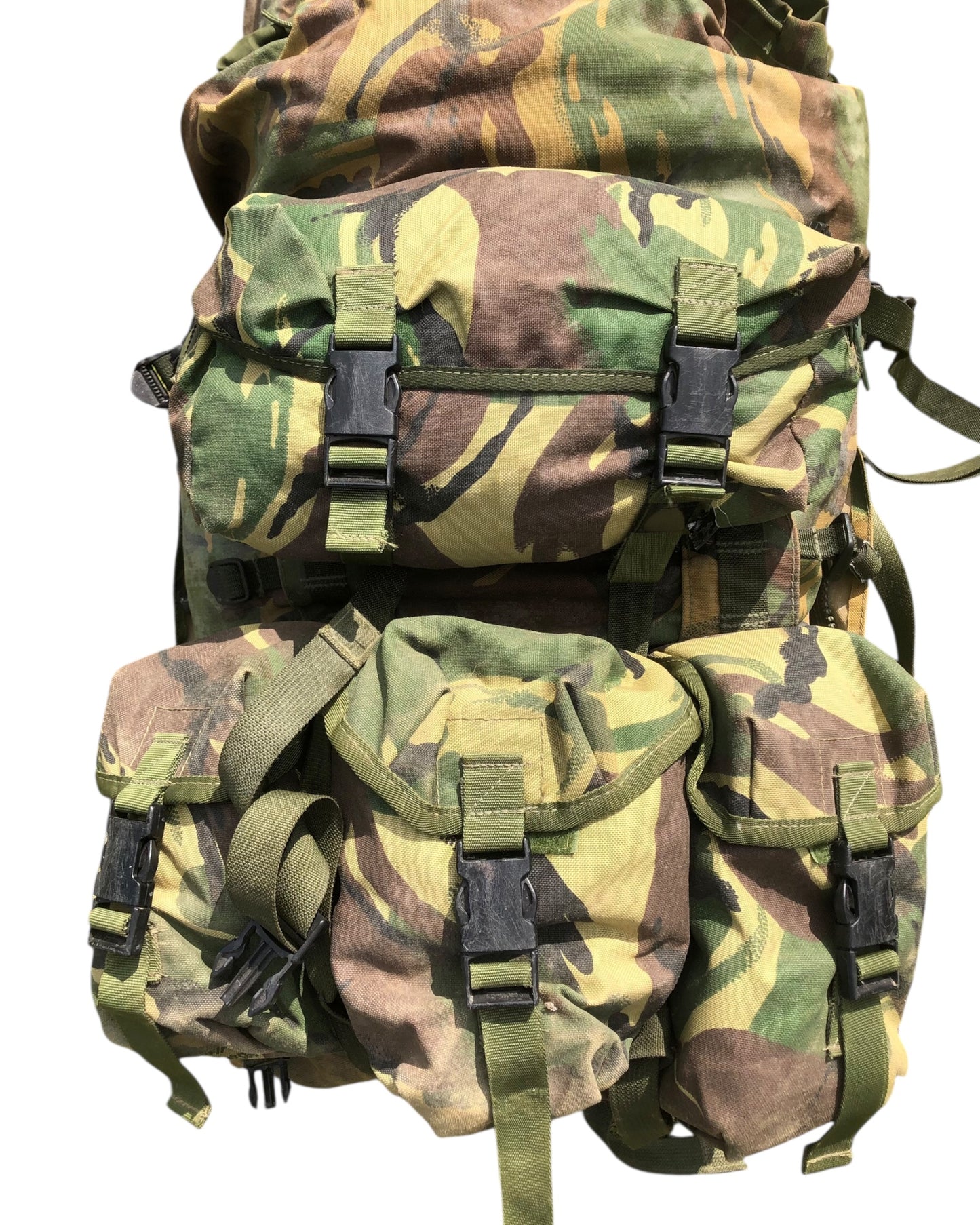 Para Bergen - DPM British army